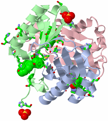 Image Asym./Biol. Unit - sites