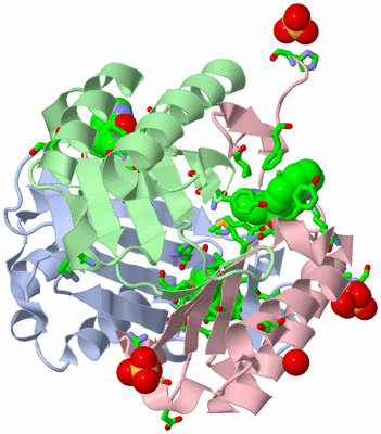 Image Asym./Biol. Unit - sites