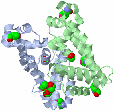 Image Biological Unit 1