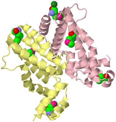 Image Biological Unit 2