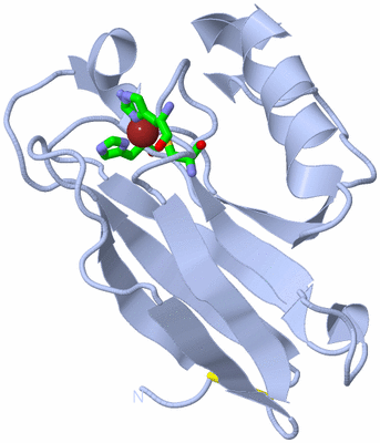 Image Biol. Unit 1 - sites