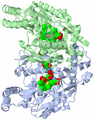 Image Asym./Biol. Unit