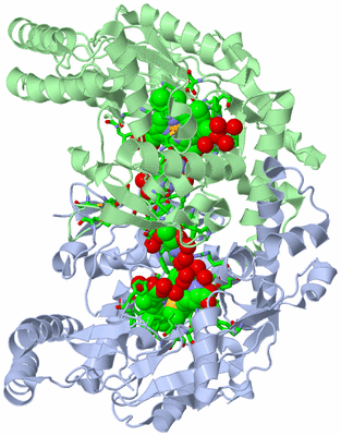 Image Asym./Biol. Unit - sites