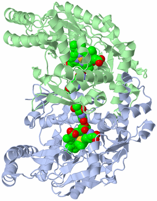 Image Asym./Biol. Unit