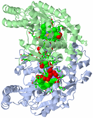 Image Asym./Biol. Unit - sites