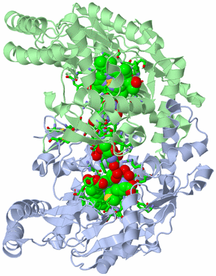 Image Asym./Biol. Unit - sites