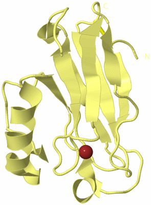 Image Biological Unit 4