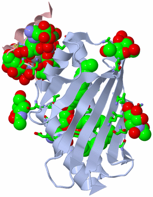 Image Biol. Unit 1 - sites