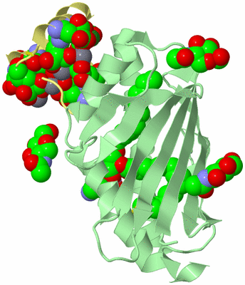 Image Biological Unit 2