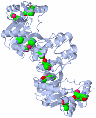Image Biological Unit 1