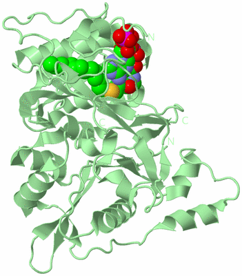 Image Biological Unit 2