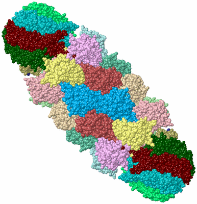 Image Biological Unit 1