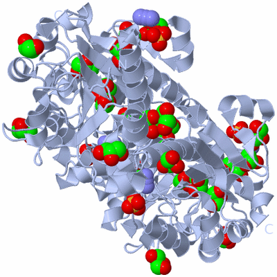 Image Biological Unit 2