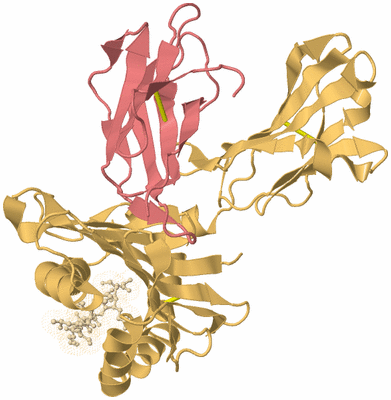 Image Biological Unit 3