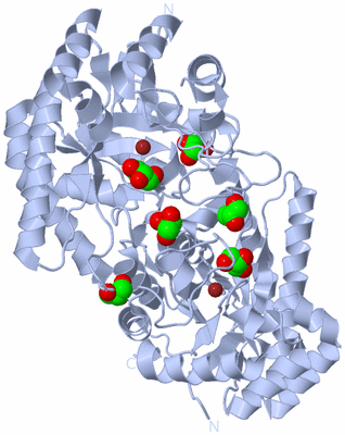 Image Biological Unit 1