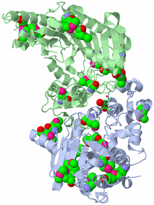 Image Biol. Unit 1 - sites