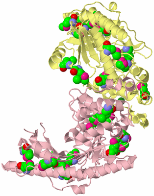 Image Biological Unit 2