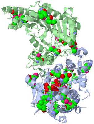 Image Biol. Unit 1 - sites