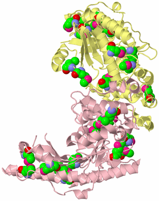 Image Biological Unit 2