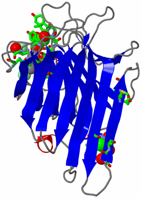 Image Asym. Unit - sites