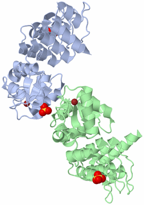 Image Asymmetric Unit
