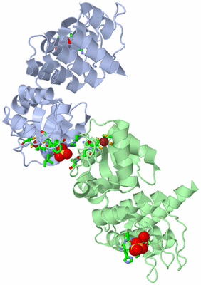 Image Asym. Unit - sites