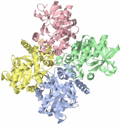 Image Asym./Biol. Unit