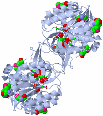 Image Biol. Unit 1 - sites