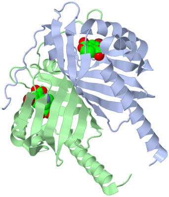 Image Asym./Biol. Unit