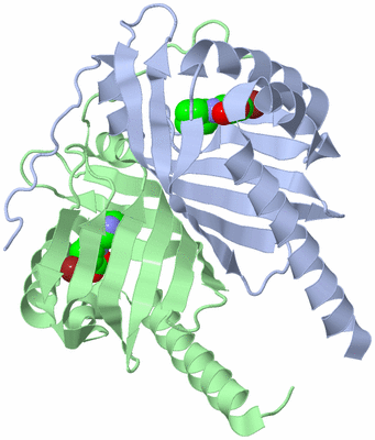 Image Asym./Biol. Unit