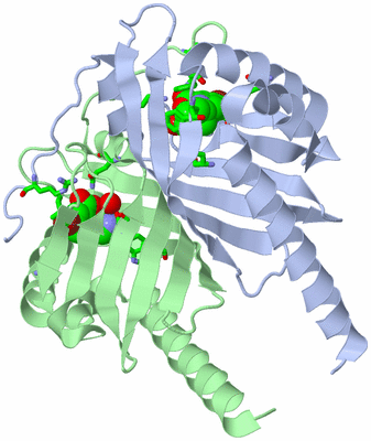 Image Asym./Biol. Unit - sites