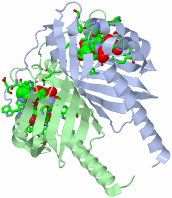 Image Asym./Biol. Unit - sites