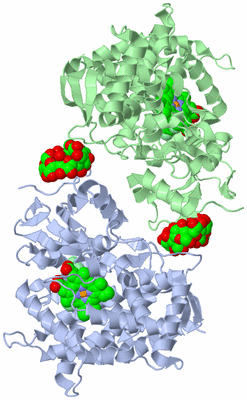 Image Biological Unit 1