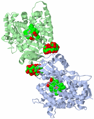 Image Biological Unit 2