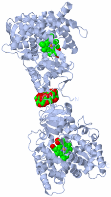 Image Biological Unit 1