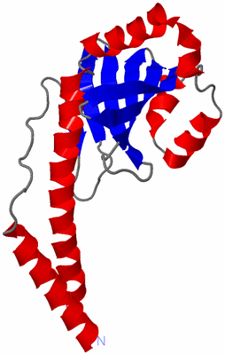 Image Asymmetric Unit