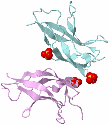 Image Biological Unit 3