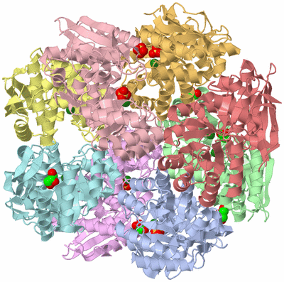 Image Asym./Biol. Unit