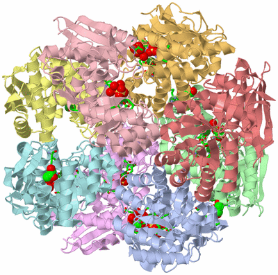 Image Asym./Biol. Unit - sites