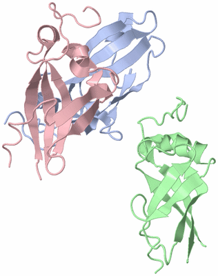 Image Asymmetric Unit