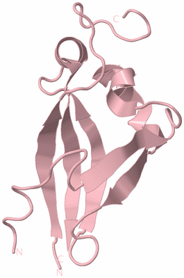 Image Biological Unit 3