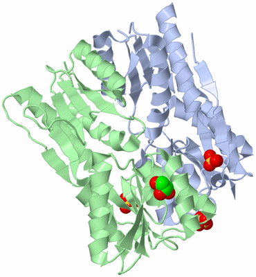 Image Asym./Biol. Unit