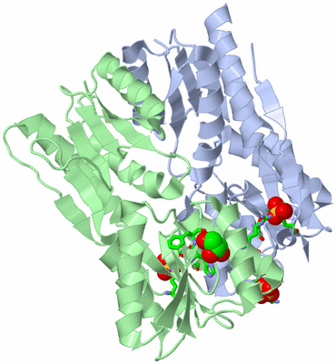 Image Asym./Biol. Unit - sites