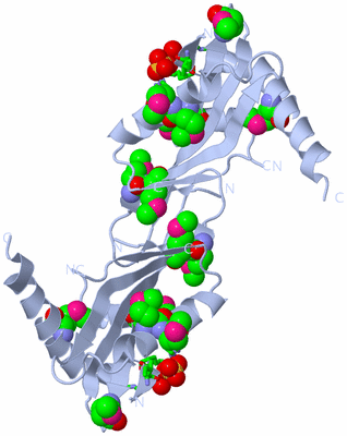 Image Biol. Unit 1 - sites