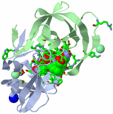 Image Asym./Biol. Unit - sites