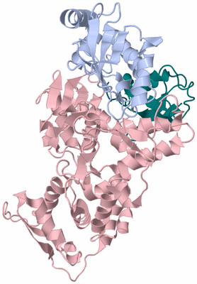 Image Biological Unit 1