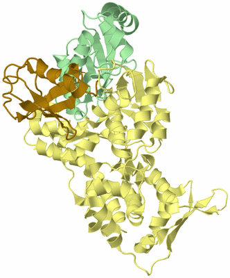 Image Biological Unit 2