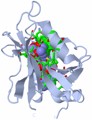 Image Biol. Unit 1 - sites