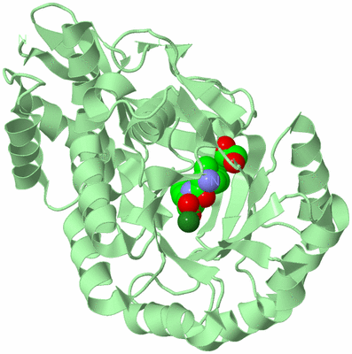 Image Biological Unit 2