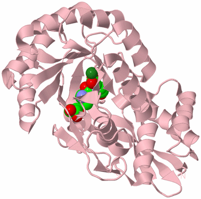 Image Biological Unit 3